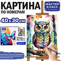 Набор для рисования "Картина по номерам 30х40 см. Цветная совушка"