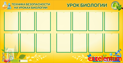 Комплект стендов для школы УГОЛОК БИОЛОГИИ, ТЕХНИКА БЕЗОПАСНОСТИ НА УРОКЕ, 1,95*1м