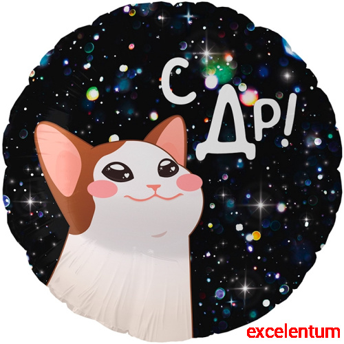 Шар (18''/46 см) Круг, С ДР! (котик), 1 шт. в уп. Шар (18''/46 см) Круг, С ДР! (котик), 1 шт. в уп.