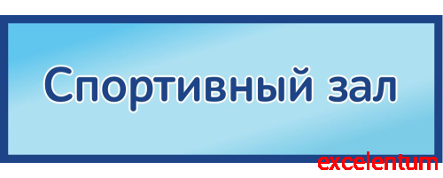 Табличка на дверь в голубом цвете СПОРТИВНЫЙ ЗАЛ, 0,3*0,1м Табличка на дверь в голубом цвете СПОРТИВНЫЙ ЗАЛ, 0,3*0,1м