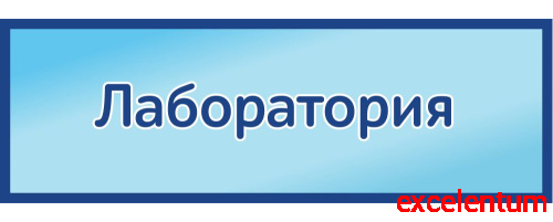 Табличка на дверь в голубом цвете ЛАБОРАТОРИЯ, 0,3*0,1м Табличка на дверь в голубом цвете ЛАБОРАТОРИЯ, 0,3*0,1м