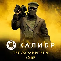 Дополнение к игре для ПК 1C Game Studios Калибр: Телохранитель Зубр (16+) (RUS)
