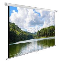 Экран Cactus 150x240см WallExpert CS-PSWE-240x150-WT
