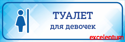 Табличка на дверь голубая ТУАЛЕТ ДЛЯ ДЕВОЧЕК, 0,3*0,1м Табличка на дверь голубая ТУАЛЕТ ДЛЯ ДЕВОЧЕК, 0,3*0,1м