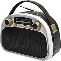 Радиоприемник портативный Ritmix RPR-040