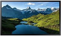 Панель Samsung 55" OH55A-S