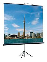 Экран на треноге Lumien 150x150см Eco View LEV-100101