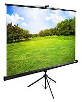 Экран Cactus 150x200см TriExpert CS-PSTE-200x150-BK
