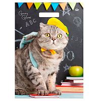 Пакет "Грэй Глосс Кот" вырубной ламинированный (430х315х50)