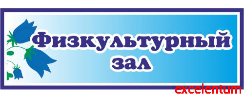 Табличка для детского сада с колокольчиками ФИЗКУЛЬТУРНЫЙ ЗАЛ, 0,3*0,1м Табличка для детского сада с колокольчиками ФИЗКУЛЬТУРНЫЙ ЗАЛ, 0,3*0,1м