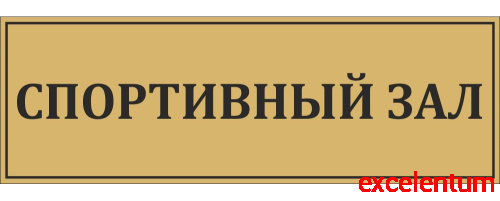 Табличка для школы в золотом цвете СПОРТИВНЫЙ ЗАЛ, 0,3*0,1м Табличка для школы в золотом цвете СПОРТИВНЫЙ ЗАЛ, 0,3*0,1м