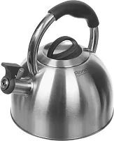 Чайник металлический Rondell Craft RDS-1951