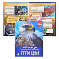 Птицы (энциклопедия А4)