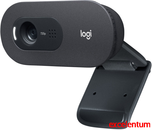 Камера Web Logitech HD Webcam C505e Камера Web Logitech HD Webcam C505e