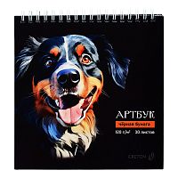 Артбук (Скетчбук) 30л. "Берн" блок чёрный, жесткая подложка, 120  г/м2 166*175 мм на гребне