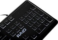 Клавиатура Defender Raid GK-778DL