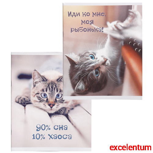 Тетрадь 40л. линия "Кото-терапия" А5 скрепка