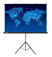 Экран Cactus 150x150см Triscreen CS-PST-150x150