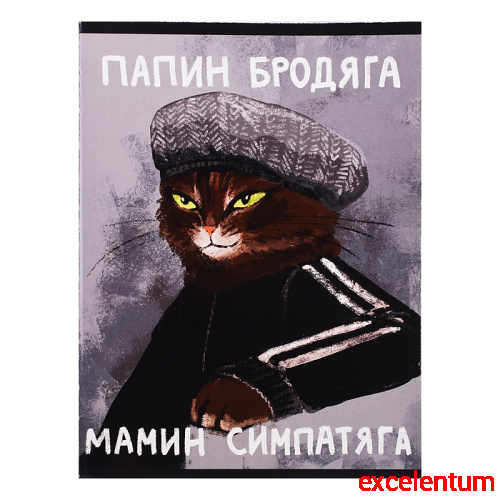 Тетрадь 60л. "Мамин симпатяга" скрепка. обл: мел.карт. глянцевая ламинация