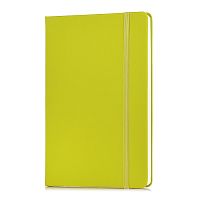Записная книжка A5 (140 ммx205 мм) 160 стр, кремовая бумага 70 г/м² в клетку, печать в 1 краску, твердая обложка из искусственной кожи с покрытием Soft Touch, вертикальная резинка, закругленные уголки, 1 ляссе, в термоусадочной пленке, салатовая
