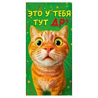 Конверт для денег "Это у тебя тут ДР?!" (кот)