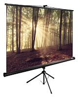 Экран Cactus 135x180см TriExpert CS-PSTE-180x135-BK