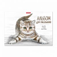 Альбом для рисования 40л. "Tabby" А4, на клею
