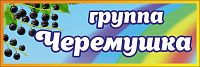Табличка для детского сада ГРУППА ЧЕРЕМУШКА, 0,3*0,1м