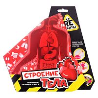 Научно-познавательный набор "Строение тела"