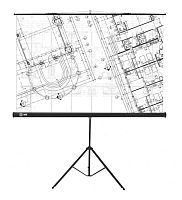 Экран Cactus 127x127см Triscreen CS-PST-127X127