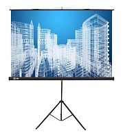 Экран Cactus 104.4x186см Triscreen CS-PST-104x186