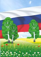 Магнитный информационный стенд БЕРЕЗОВАЯ РОЩА и ФЛАГ РФ, 0,9*1,25м