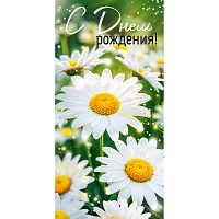 Конверт для денег "С Днем рождения!" (ромашки)