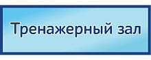 Табличка на дверь в голубом цвете ТРЕНАЖЕРНЫЙ ЗАЛ, 0,3*0,1м