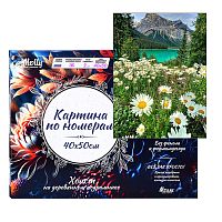 Картина по номерам 40х50 "Ромашковое поле в горах" (25 цветов)