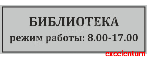Табличка для школы в серебряном цвете БИБЛИОТЕКА, 0,3*0,1м Табличка для школы в серебряном цвете БИБЛИОТЕКА, 0,3*0,1м