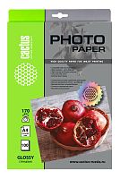 Фотобумага Cactus CS-GA4170100