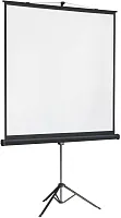 Экран на треноге Lumien 244x244см Master View LMV-100105