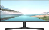 Монитор NPC 29" MZ300L
