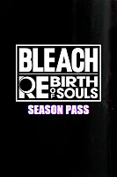 Дополнение к игре для ПК Namco Bandai Bleach Rebirth of Souls - Season Pass (12+)