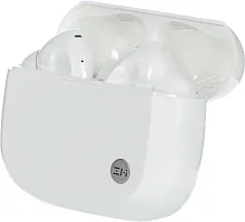 Гарнитура внутриканальные ZMI PurPods Pro TW100ZM