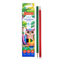 Карандаши цветные 6 цв. деревянные, европодвес