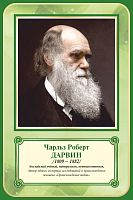 Стенд-портрет для школы зеленый ДАРВИН, 0,4*0,6м