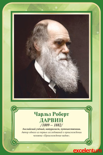 Стенд-портрет для школы зеленый ДАРВИН, 0,4*0,6м