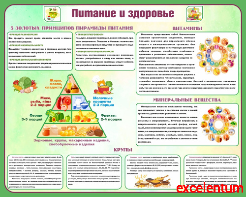 Стенд для школы ПИТАНИЕ И ЗДОРОВЬЕ, 1*0,8м Стенд для школы ПИТАНИЕ И ЗДОРОВЬЕ, 1*0,8м