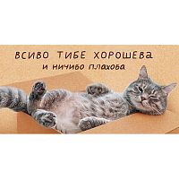 Конверт для денег "Всиво тибе хорошева"