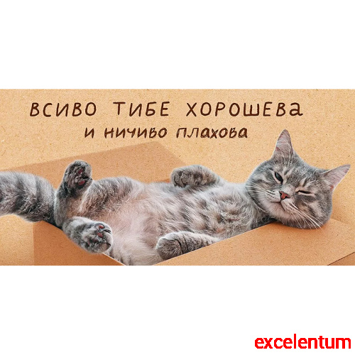 Конверт для денег "Всиво тибе хорошева" Конверт для денег "Всиво тибе хорошева"