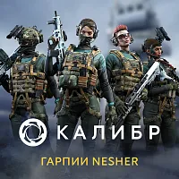 Дополнение к игре для ПК 1C Game Studios Калибр: Гарпии Nesher (16+) (RUS)