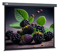 Экран Cactus 127x127см Wallscreen CS-PSW-127X127-SG