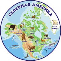 Обучающий стенд ПЛАНЕТА ЗЕМЛЯ. СЕВЕРНАЯ АМЕРИКА, 0,5*0,5м